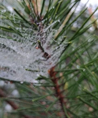 平阳棋盘山 九叠岩环线