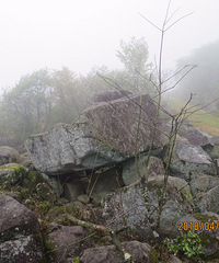 走知青古道 看石浪樱花 登苍山之巅