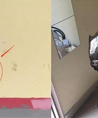 ��УѧԱ�ᳵȥ���������������ǽ��ײ����