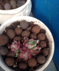 �����ֵ�һ������