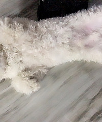 ������ʹ�