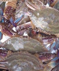 ���۸��᡿180Ԫһ��İ�з�����������