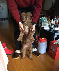 Ѱ������