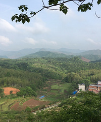 文山怪石林 造化的山石盆景