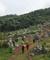 文山怪石林 造化的山石盆景
