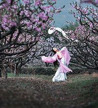 十里桃花,漫山遍野灼灼芳华