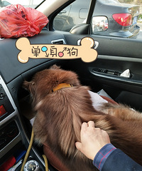 1�갢��˹��ת��