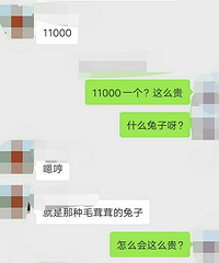 ���۸��᡿11000һֻ��ʲô������ô��