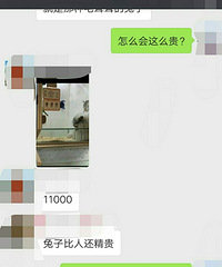 ���۸��᡿11000һֻ��ʲô������ô��