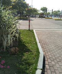 ���۸��᡿·�Ͽ������˹�����ô��