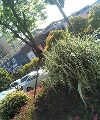 ���۸��᡿·�Ͽ������˹�����ô��