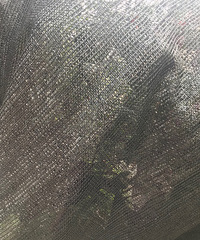 �±�͵�Ե�ӣ�ң����źڲ�������ס�Ի����ģ�ɵ������ϲ����ӣ��