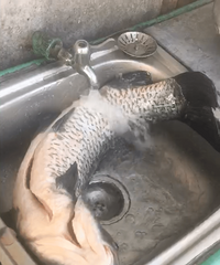 �����ⴴ�²� ����յľ��ǲ�һ��