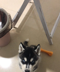 ת�����´�����ȫ��ʿ��  ס�ĵط���������