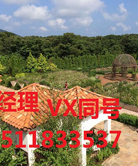 出国打工去日本好还是去韩国好帮忙介绍下
