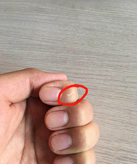 ���۸��᡿�������ʳָ�а���