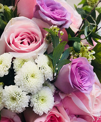 ѽ���о��Լ����Ҹ���Χ��