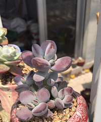 ��������ǰ����