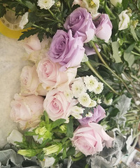 ����һ��������������