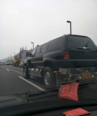 ���ģ�����ʲô����������