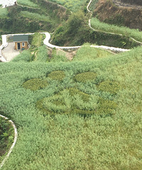 ����С��ɽ�μ�