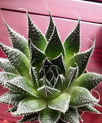 �ҵ�������