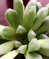 �ҵ�������