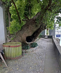 两岸三度 这个地方夏天玩玩不错