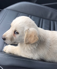 2����С��ë�������ˣ�����ͣ�����һ��