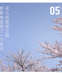 回帖建5月相亲高楼!晒出你的办公室自拍照