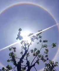 ��19¥�ҵ������ǰ������������������