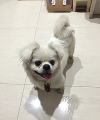 ������;���