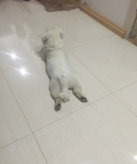 ������;���