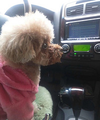 ���ѽ����˸����׶����ܰ��ҿ�������ʲô����