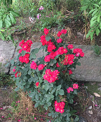 ��һ�½���Ļ���˳���һ��ѻ���