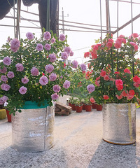 ��һ�½���Ļ���˳���һ��ѻ���