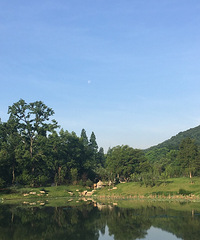 ����������Ŵ���������