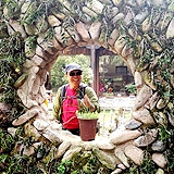 只为10分钟的瀑布