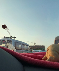 �°�·�ϣ�ͻȻһ����ʺ�������