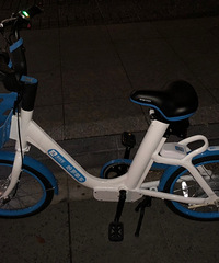 ���޵絥����������