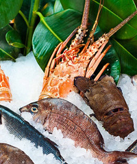 ���۸��᡿�����ڱ��ʺ��ʺͻ��ʲ��������������ʿ��ԣ���ô����