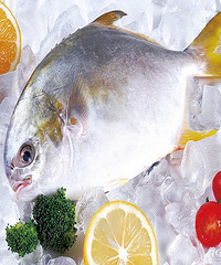 ���۸��᡿�����ڱ��ʺ��ʺͻ��ʲ��������������ʿ��ԣ���ô����