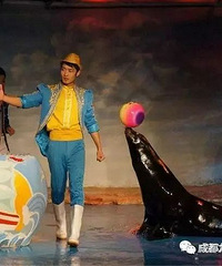 ��ʨ�ս��Ƹ���ó�ǣ���԰�����Ԫ��