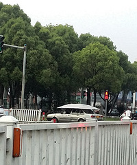 ������ɡ������ʲô�����