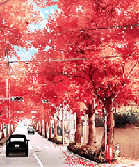 ��һ��ȥ���аɡ��Ҹ���ͬ�����õ������һ��