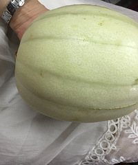 ���۸��᡿���������ڻ��а��������