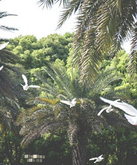 ��һ��ȥ���аɡ�85��GG����175���ʦ