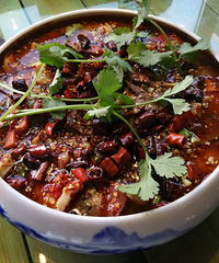 ���۸��᡿�˶����ʺͼ�֬�ͣ���ѡ��һ����