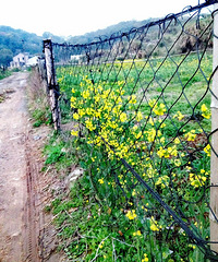 �Ŵ���֮���������ؾ����ڿӴ�