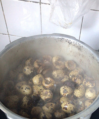 ���ڸ������ľͺã��ܻ������Լ��Ĳ�...